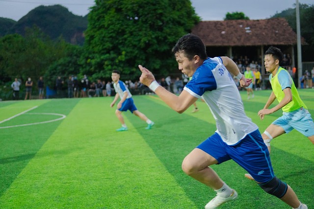 他们将有更