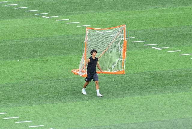了新的活力