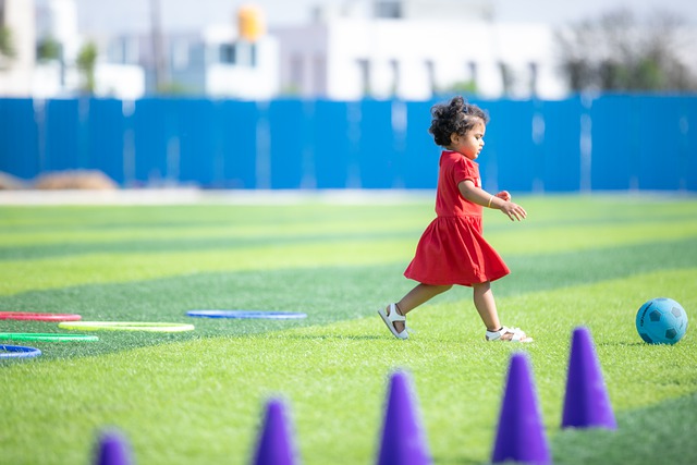 体战术配合 体战术配合