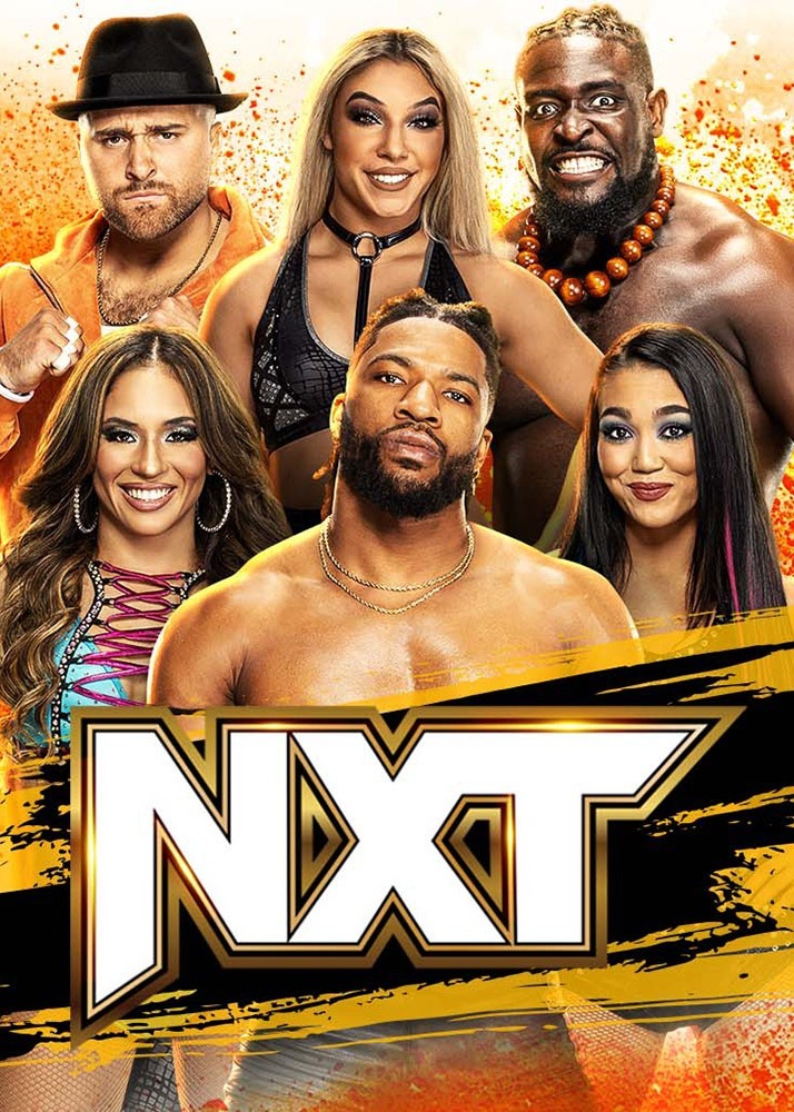 凡的进球 凡的进球